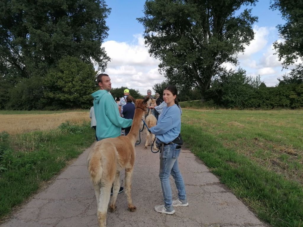 Chorausflug und Alpakawanderung